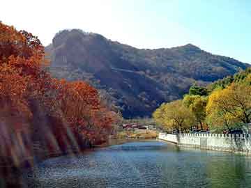 澳门二四六天天彩图库，废纸粉碎机